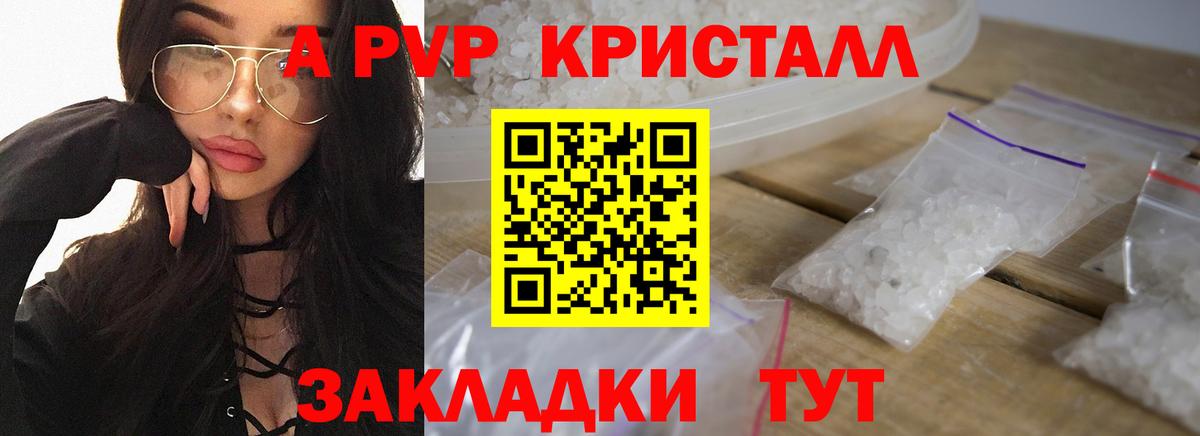 APVP СК Выборг