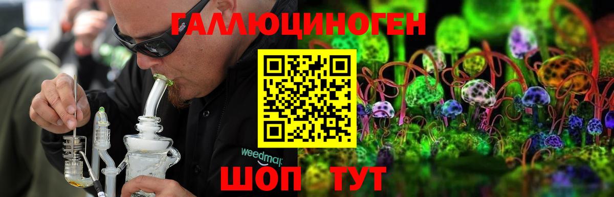 Выборг  Псилоцибиновые грибы GOLDEN TEACHER  Вход с VPN 