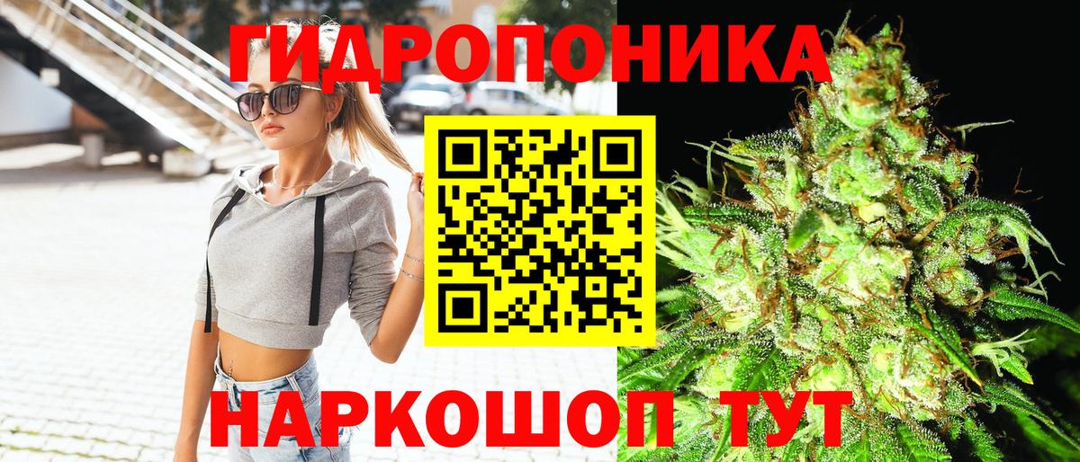 Канабис семена  Бошки марихуана планчик  Выборг  Бошки Шишки Ganja  Вход с VPN 